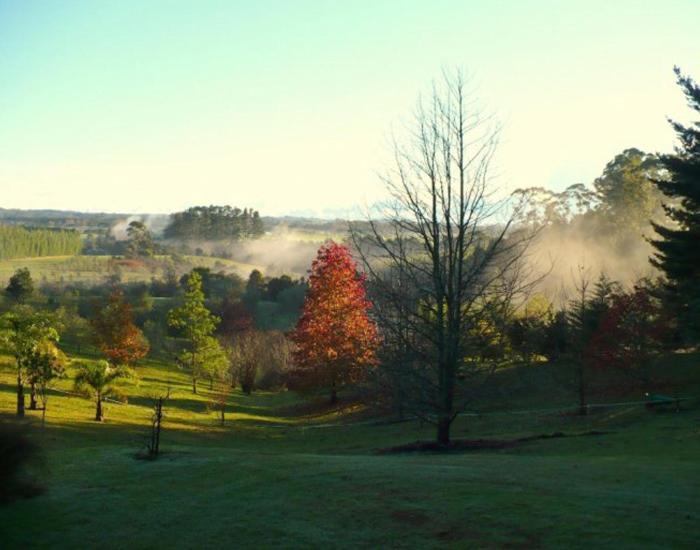 Puketotara Lodge Kerikeri Exterior photo